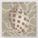 Suche nach muscheln untersetzer Küste