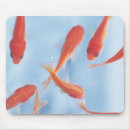 Suche nach rote fische mousepads Blau