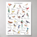 Suche nach vogelplakat Kinderzimmer
