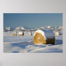 Suche nach heu poster Landschaft