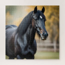 Suche nach schwarze pferde puzzle Hengst