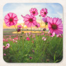 Suche nach provinz untersetzer Blume