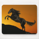 Suche nach schwarze pferde mousepads Silhouette