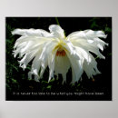 Suche nach sprüche poster Inspirierend