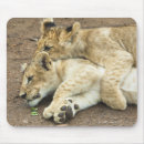 Suche nach drei tiere mousepads Seitenansicht