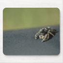 Suche nach spinne mousepads Arachnid
