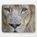 Suche nach männlicher löwe mousepads Lincoln peak