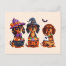 Suche nach halloween dackel postkarten Fledermäuse