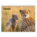 Suche nach gepard kalender 2027
