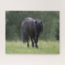Suche nach schwarze pferde puzzle Rasse