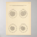 Suche nach united states poster Four