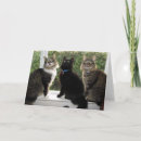 Suche nach drei freunde karten Kätzchen