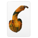 Suche nach gourdes Obst