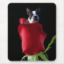 Suche nach valentines day mousepads Liebe