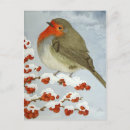Suche nach rotkehlchen postkarten Aquarell