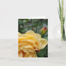 Suche nach gelbe blumen karten Quelle