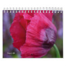 Suche nach rote blumen kalender Rosa