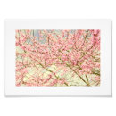 Suche nach blühender baum poster Bäume