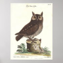 Suche nach die eule poster Vögel