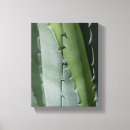 Suche nach makro leinwandbilder Nah