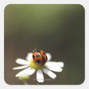 Suche nach ladybird aufkleber Vertikal