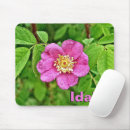 Suche nach rosa malerei mousepads Rose