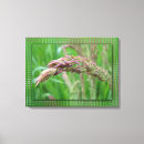 Suche nach gräser leinwandbilder Sommer