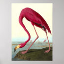 Suche nach amerikanischer flamingo poster Vintag