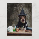 Suche nach tränken poster Niedlich
