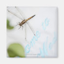 Suche nach teppich magnete Gestaltung