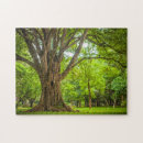 Suche nach baumstamm puzzle Landschaft