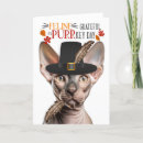 Suche nach sphynx katze karten Haustiere