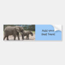 Suche nach elefant autoaufkleber Natur