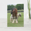 Suche nach clydesdale waren karten Bob sprache