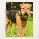 Suche nach terrier planer Welpen