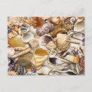 Suche nach mollusken postkarten Muschel