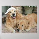 Suche nach patio poster Fotografie