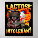Suche nach vintage getränke poster Katze