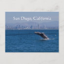 Suche nach grauwal poster Natur