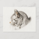 Suche nach katzen skizze poster Vintag