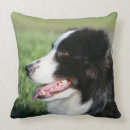 Suche nach border collie kissen Welpe