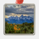 Suche nach großartig ornamente Landschaft