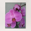 Suche nach orchid puzzle Pflanze
