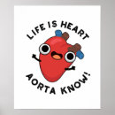 Suche nach aorta poster Anatomie