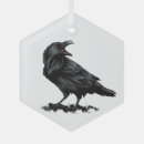 Suche nach roter vogel ornamente Vogelbeobachter