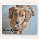 Suche nach hunde mousepads Foto
