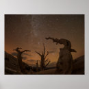 Suche nach sternschnuppen poster Weltraum
