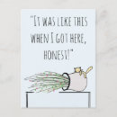 Suche nach entschuldigung postkarten Katze