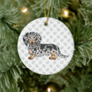 Suche nach dachshund ornamente Süß