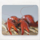 Suche nach krabben mousepads Meeresfrüchte
